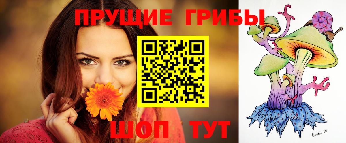 Кольчугино  Псилоцибиновые грибы MAGIC MUSHROOMS  Вход с VPN 