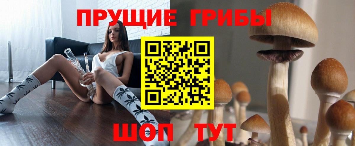 Псилоцибиновые грибы прущие грибы Кольчугино